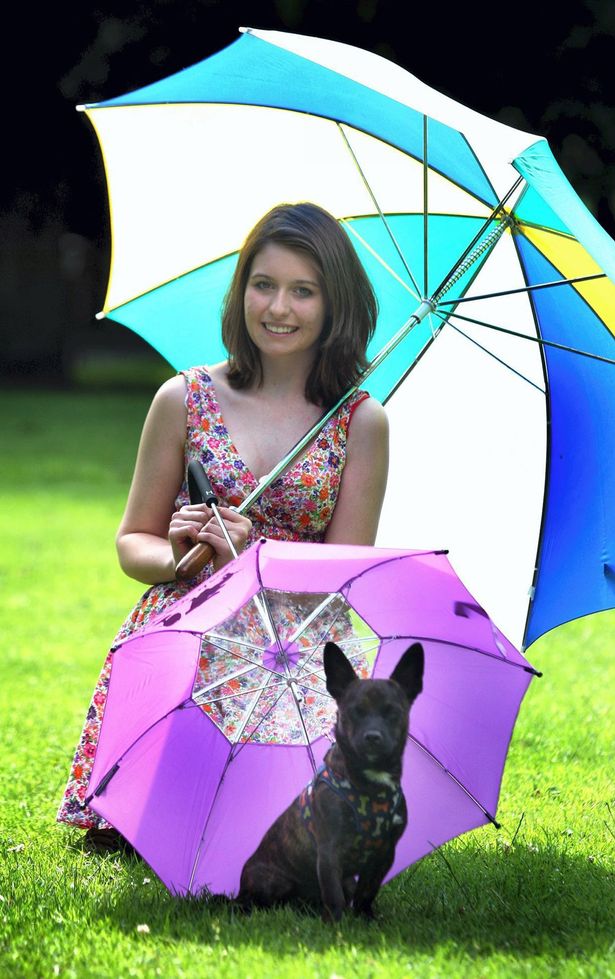 狗狗專用寵物傘在英國上市 雨天遛狗更舒心