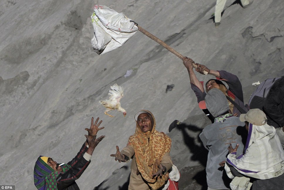 印尼奇特祭祀習俗 數百民眾火山口搶供品