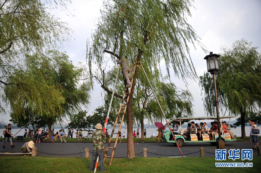 “海葵”升級為臺風(fēng) 浙滬皖魯嚴(yán)陣以待