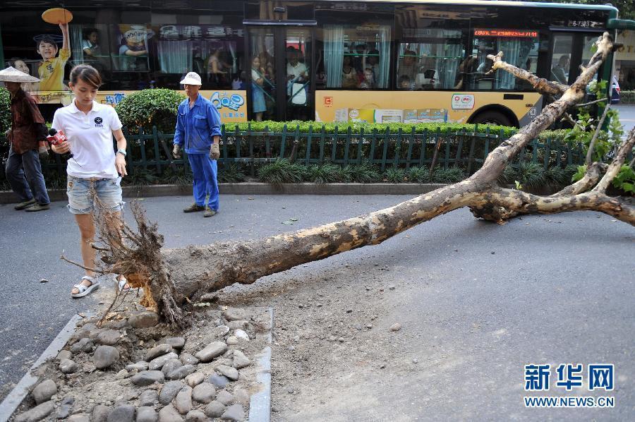 “海葵”升級為臺風 浙滬皖魯嚴陣以待
