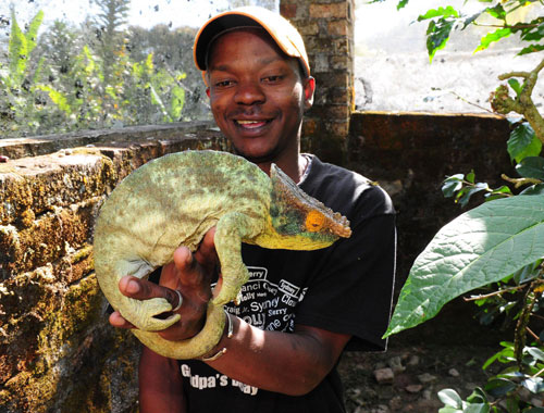 馬達加斯加：珍禽異獸多