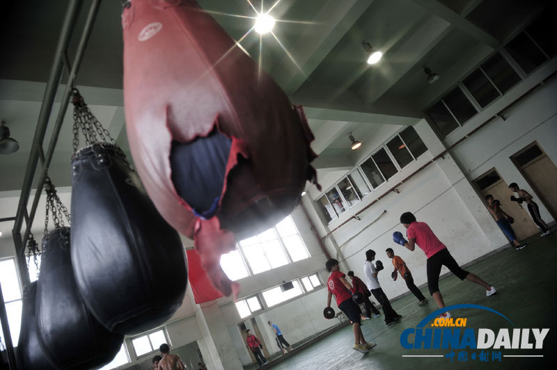 圖片故事：拳擊小子