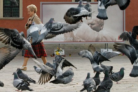 鴿子太多做成美食送窮國?阿根廷官員失言被停職