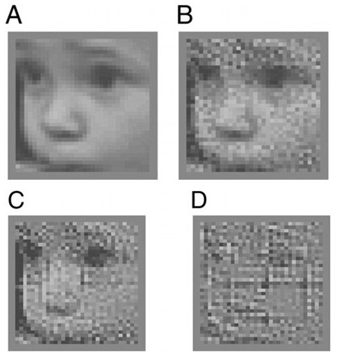 美“仿生眼鏡”技術獲重大突破 有望使盲人恢復正常視力