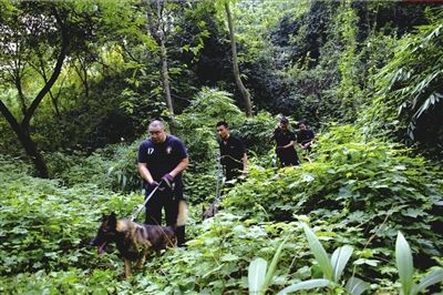 重慶警方否認發周克華尸檢照 歌樂山解除封山令