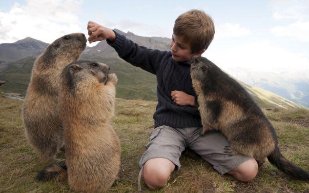圖：奧八歲男童與土撥鼠友誼深厚 嬉戲場景溫馨感人