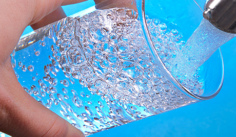 瑞典專家大膽預言:2050年前世人皆素食方可生存