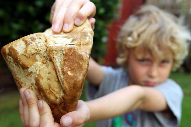 意外撿拾價值連城“龍涎香” 英8歲男童海邊玩耍賺大錢
