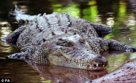 泰國患抑郁癥女子疑跳進鱷魚池自盡 丈夫求真相