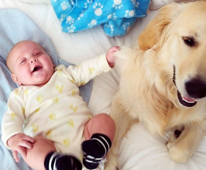 英國“推特寶貝”紅遍網(wǎng)絡 搖滾辣媽樂當幕后“推手”