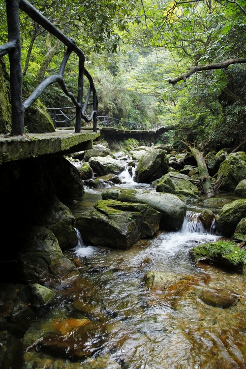 秋光里，穿越在黃山最原始的峽谷中“尋古探幽”