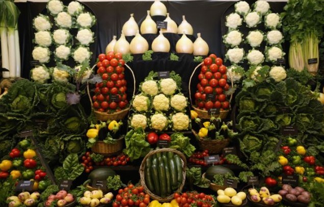 英退休老人熱衷種植巨型蔬菜 創(chuàng)造多項世界紀錄