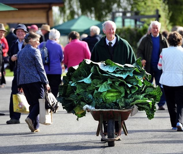 英退休老人熱衷種植巨型蔬菜 創造多項世界紀錄