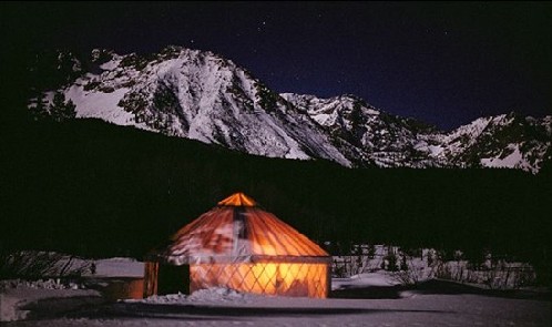 美國夫婦與狼群生活6年 拍到珍貴鏡頭已成親密朋友