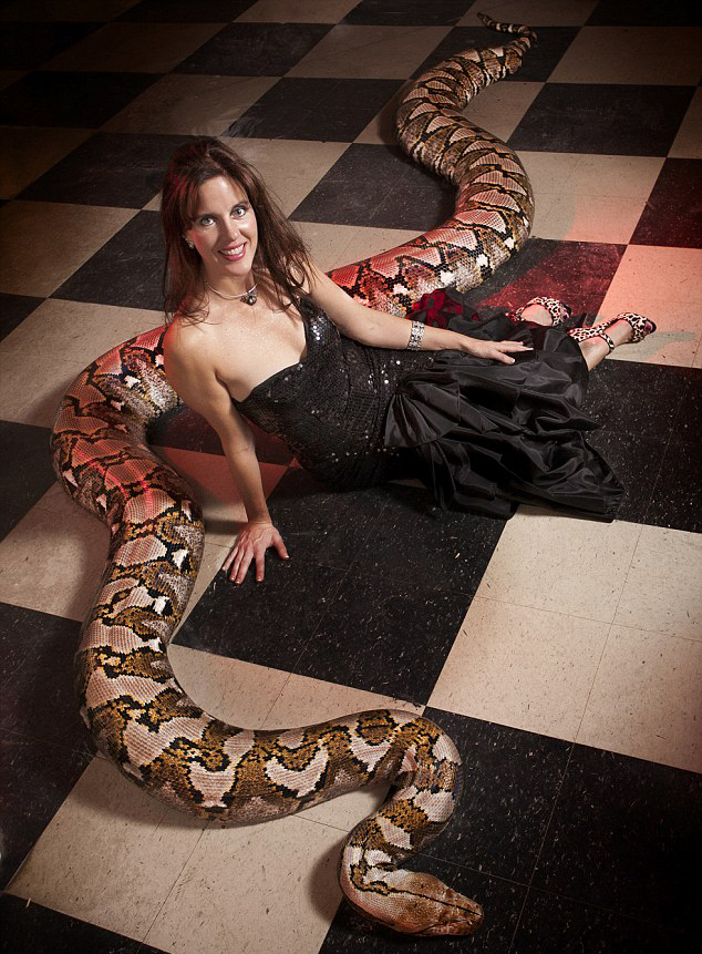 全球最長圈養蟒蛇體長7.6米 可吞下45公斤食物