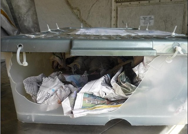 澳航班機所運鱷魚逃出箱子 貨倉內“閑庭漫步”