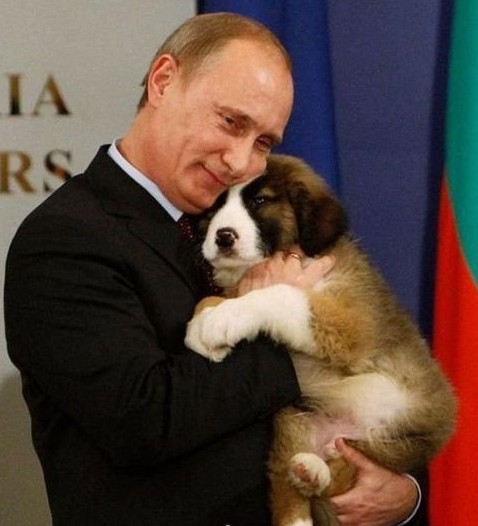 普京展開“寵物外交”贈(zèng)查韋斯幼犬 俄加大對(duì)委石油投資