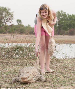 圖：西非3.6米鱷魚直立進食 與村民和睦相處溫順可人