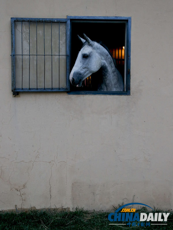 探訪(fǎng)京城頂級(jí)馬術(shù)俱樂(lè)部