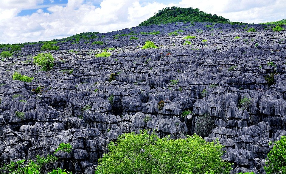 讀圖：錦繡星球之“神作”