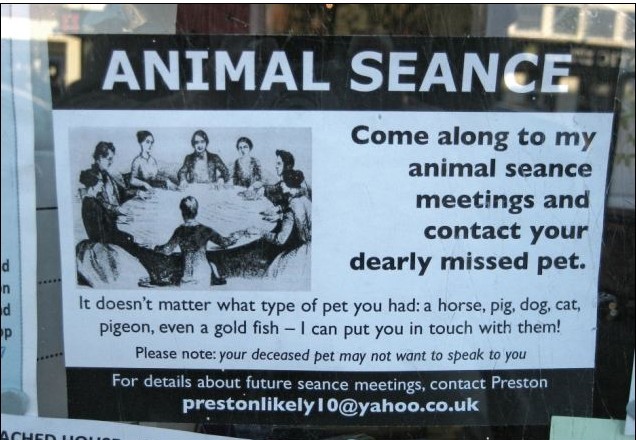 傳授扒竊課程、尋找靈魂捐贈者 英男子熱衷張貼惡搞廣告