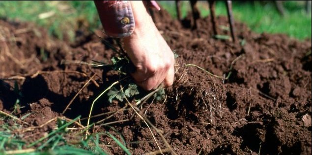 美用“泥土”制成新型熱電材料 或引發環保發電革命