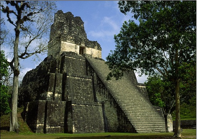 裝報警器、多陪寵物 英機構發布輕松版末日求生指南