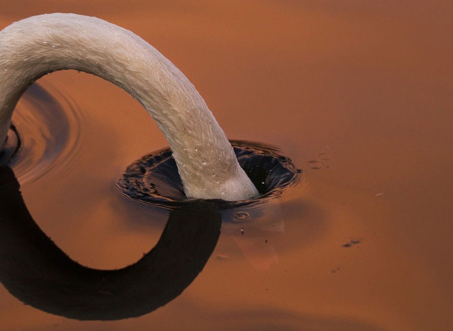 2012國家地理攝影大賽入圍佳作