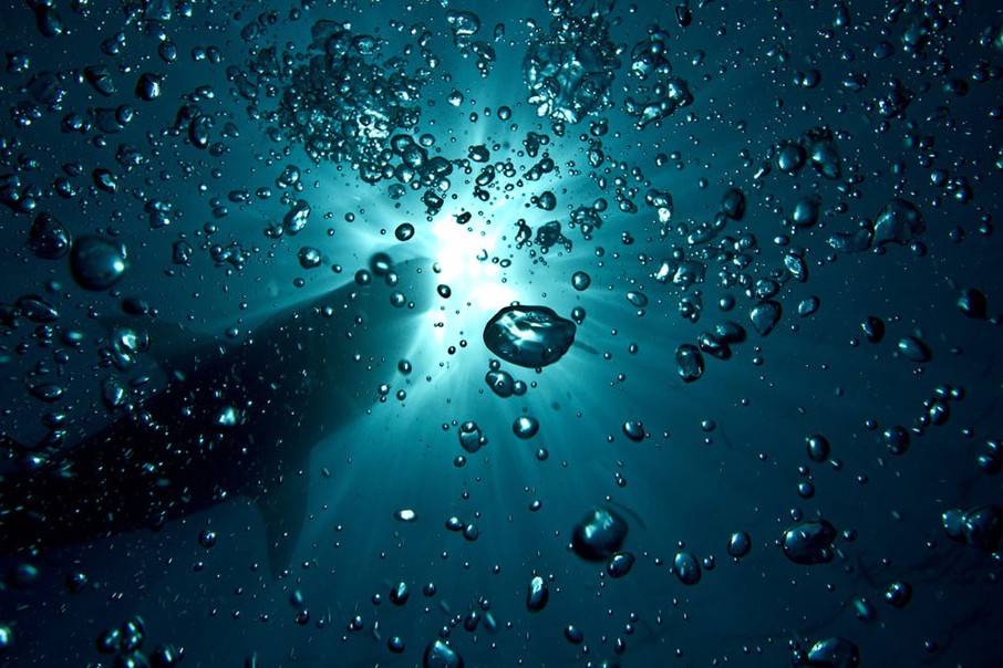 2012國家地理攝影大賽入圍佳作