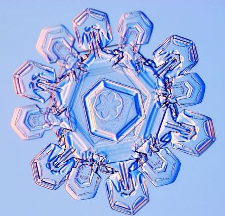 怎一個(gè)美字了得!美國(guó)科學(xué)家?guī)闶フQ看雪花(圖)