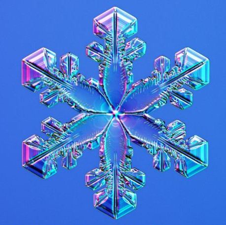 怎一個美字了得！美國科學家帶你圣誕看雪花(圖)