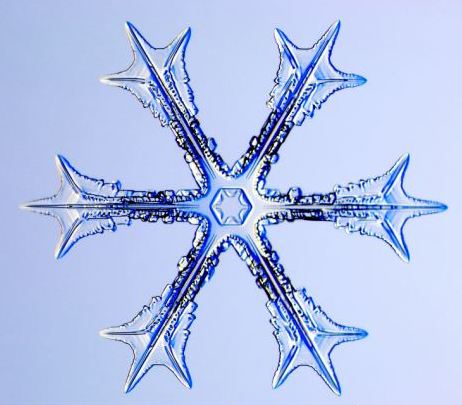 怎一個美字了得！美國科學家帶你圣誕看雪花(圖)