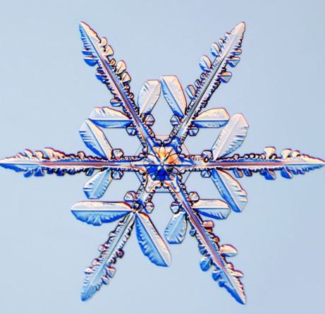 怎一個美字了得！美國科學家帶你圣誕看雪花(圖)