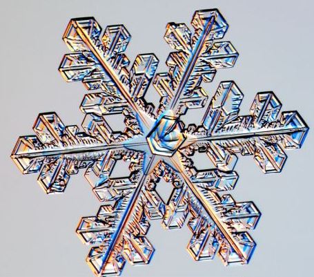 怎一個美字了得！美國科學家帶你圣誕看雪花(圖)