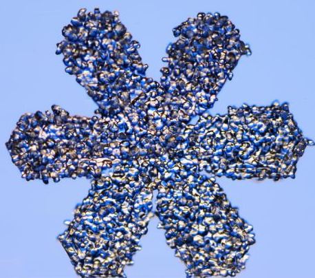 怎一個美字了得！美國科學家帶你圣誕看雪花(圖)