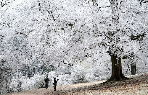 英王室鉆石展“奢華”登場 2012國際style之絕色美圖篇