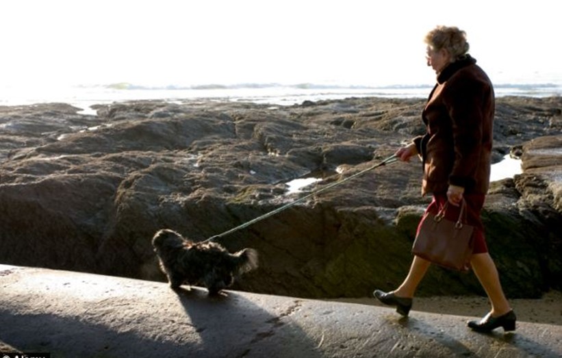 養寵物狗是“復制”白人文化？南非總統再發爭議言論