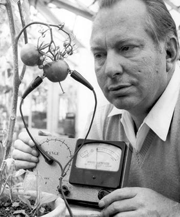 瑞克·羅斯網站最受關注的十大爭議性團體與運動