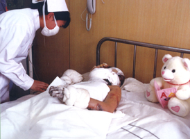 瑞克·羅斯網站最受關注的十大爭議性團體與運動