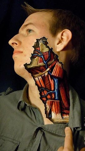 膽小勿看！ 藝術家帶你“撕裂”人體看個究竟