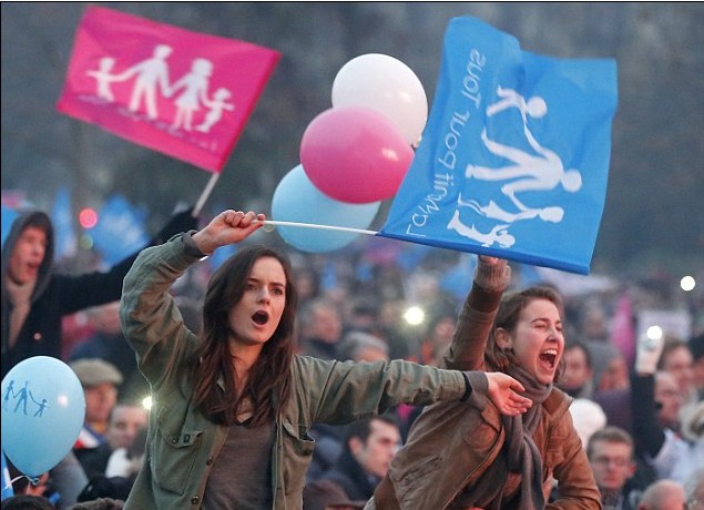 法國數十萬民眾參與大游行 反對同性婚姻合法化