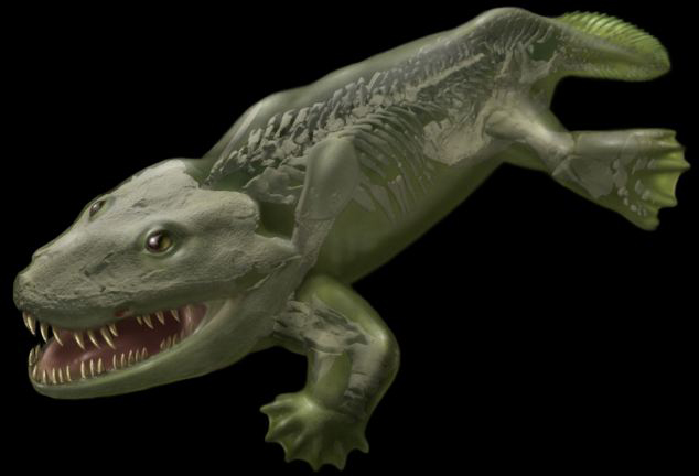 3D圖像揭秘古老脊椎動物骨架結構 或顛覆傳統(tǒng)理論