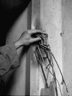 組圖:珍貴黑白老照片披露希特勒自殺地堡