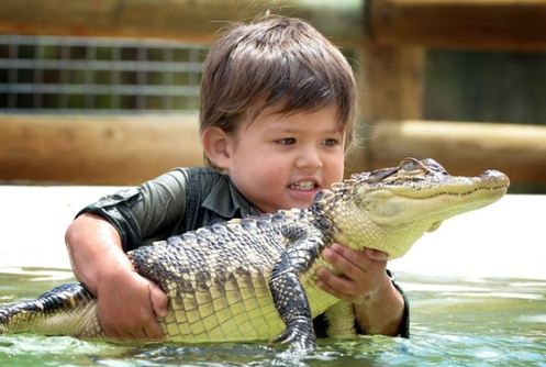 澳大利亞3歲男童同鱷魚親密嬉水 與蟒蛇為友
