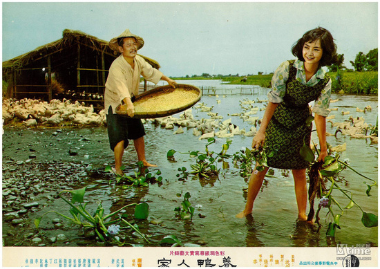 臺灣電影的“純美女神”