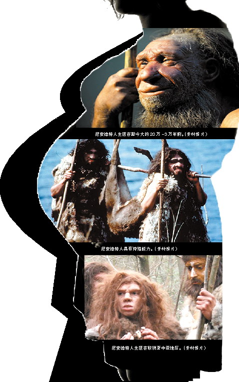 哈佛遺傳學家稱克隆尼安德特人系英媒誤傳