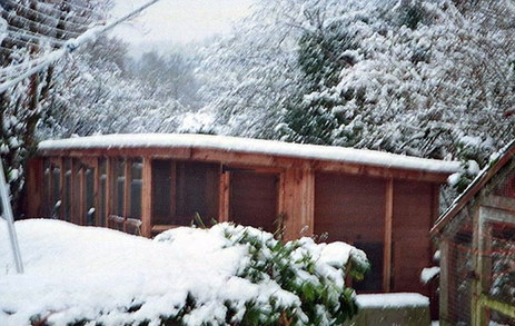 愛貓勝過愛人！英老嫗不惜重金養貓致丈夫負氣離婚