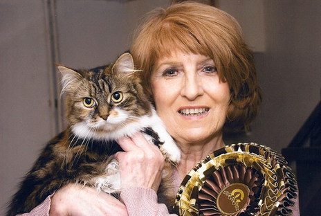 愛貓勝過愛人！英老嫗不惜重金養(yǎng)貓致丈夫負(fù)氣離婚