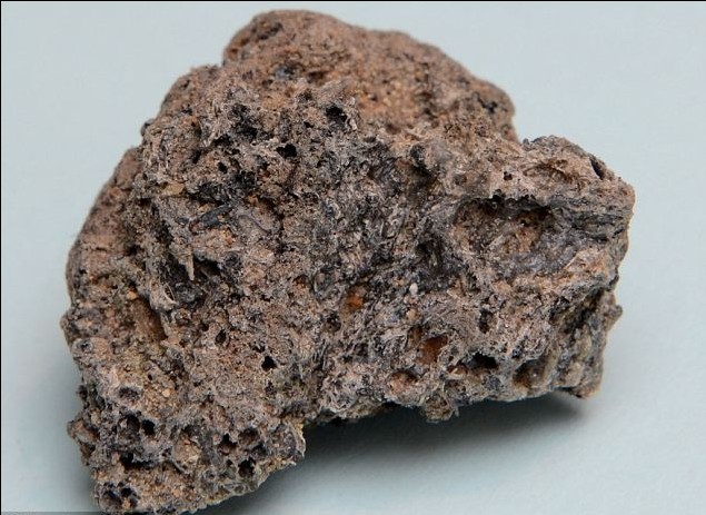 英學者隕石中找到外星化石 欲證實人類源自外太空