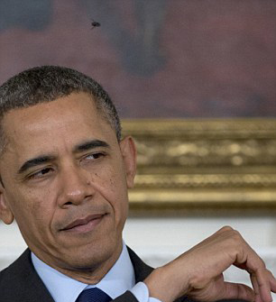 太歲頭上動土！奧巴馬白宮活動遭蒼蠅“立上頭”